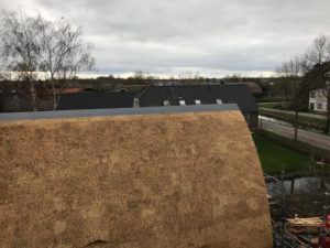 nokvorsten op rieten dak
